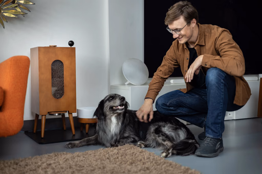 Houndsy